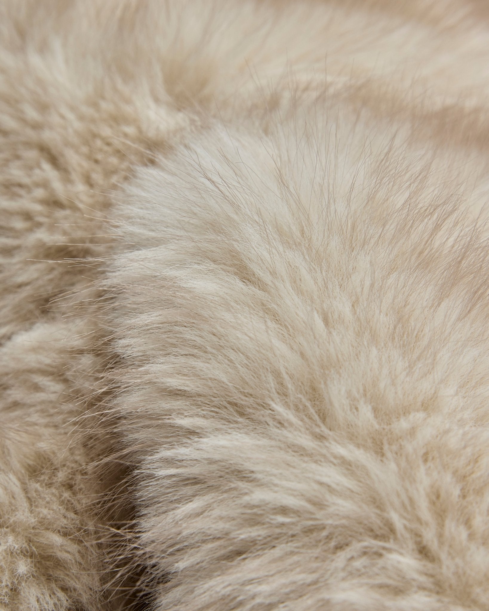 ECHARPE AXELLE ECRU - minelli.fr